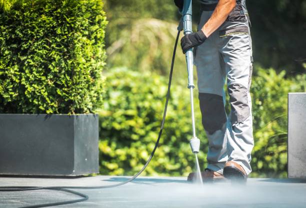 Animal Enclosure Cleaning in Carteret, NJ