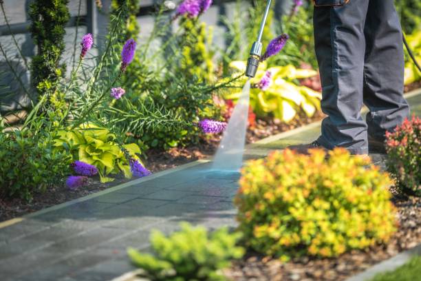 Best House Exterior Washing  in Carteret, NJ